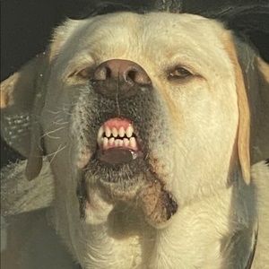 Meet your Posher, Jen